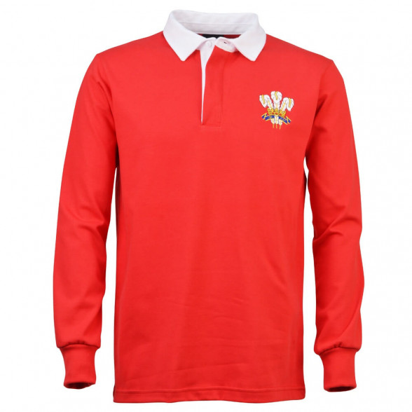 Polo de rugby de Gales 