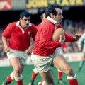 Rugby Gales 1976 